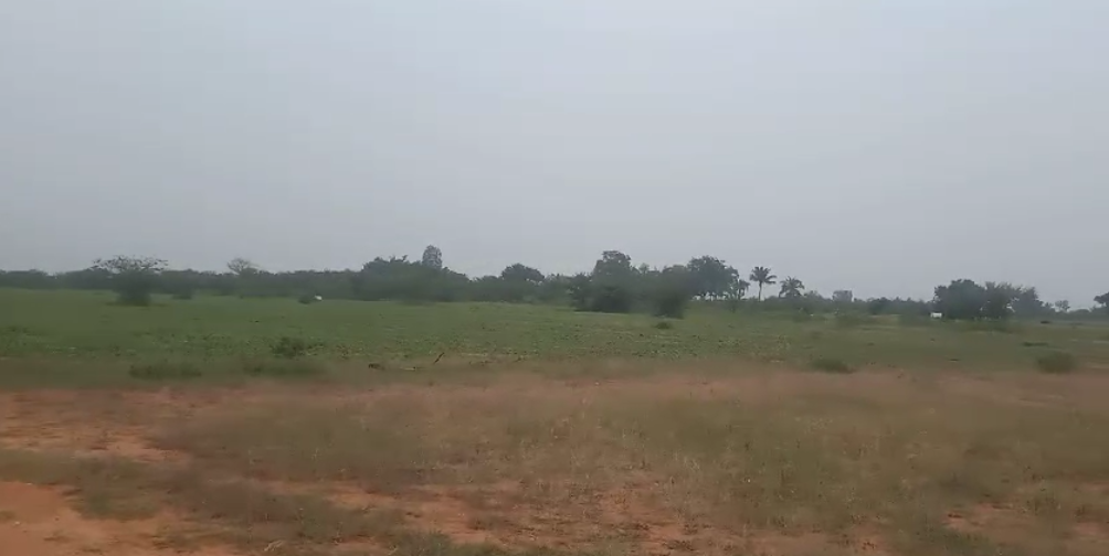  25 acre farm land for sale in Malalvalli